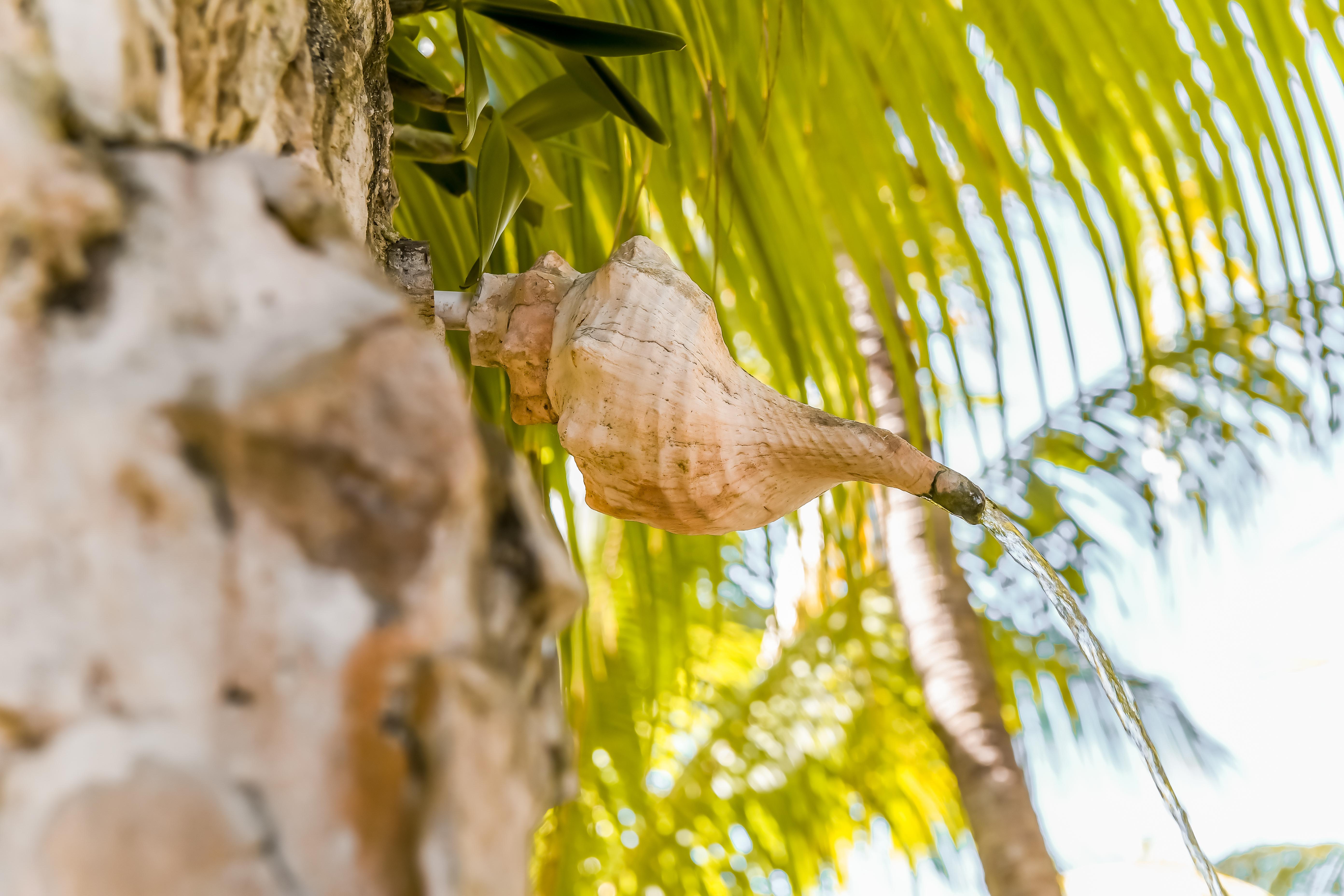 Zomay Beachfront Holbox Exterior foto